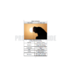 Heat Stroke: Cause and Cures - Image 7