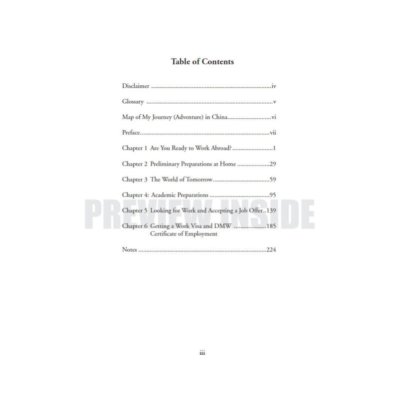 Working Abroad: A Guide Based on My Experience—Volume I: Preparing to Work Abroad - Image 3