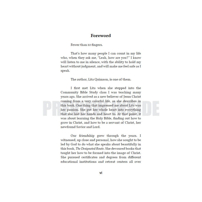 The Designated Route: The True Path - Image 5