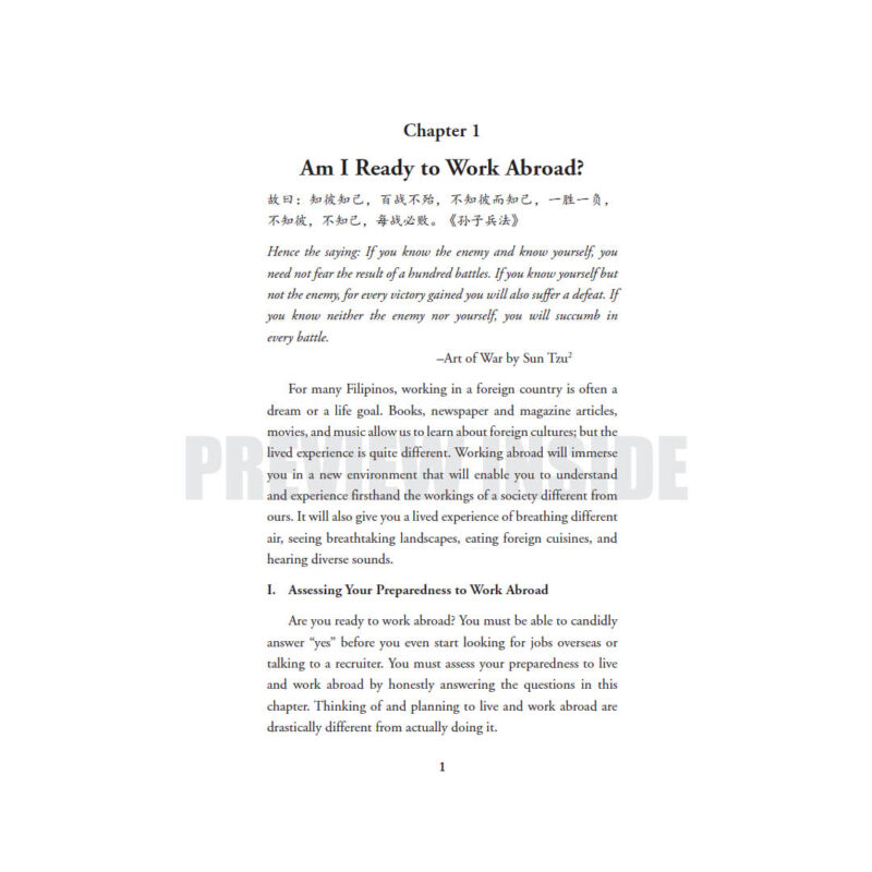 Working Abroad: A Guide Based on My Experience—Volume I: Preparing to Work Abroad - Image 6