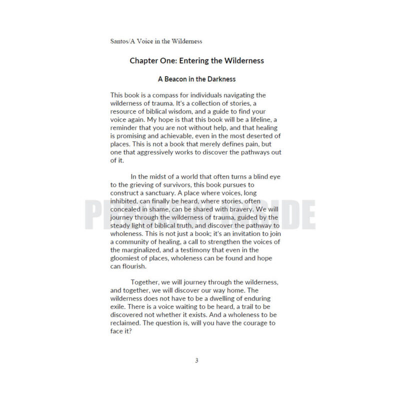 A Voice in the Wilderness: A Path to Wholeness - Image 6