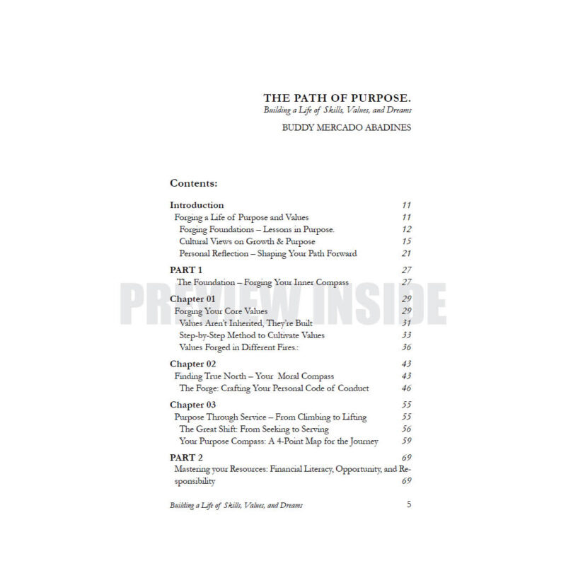 The Path of Purpose: Building a Life of Skills, Values and Dreams - Image 2