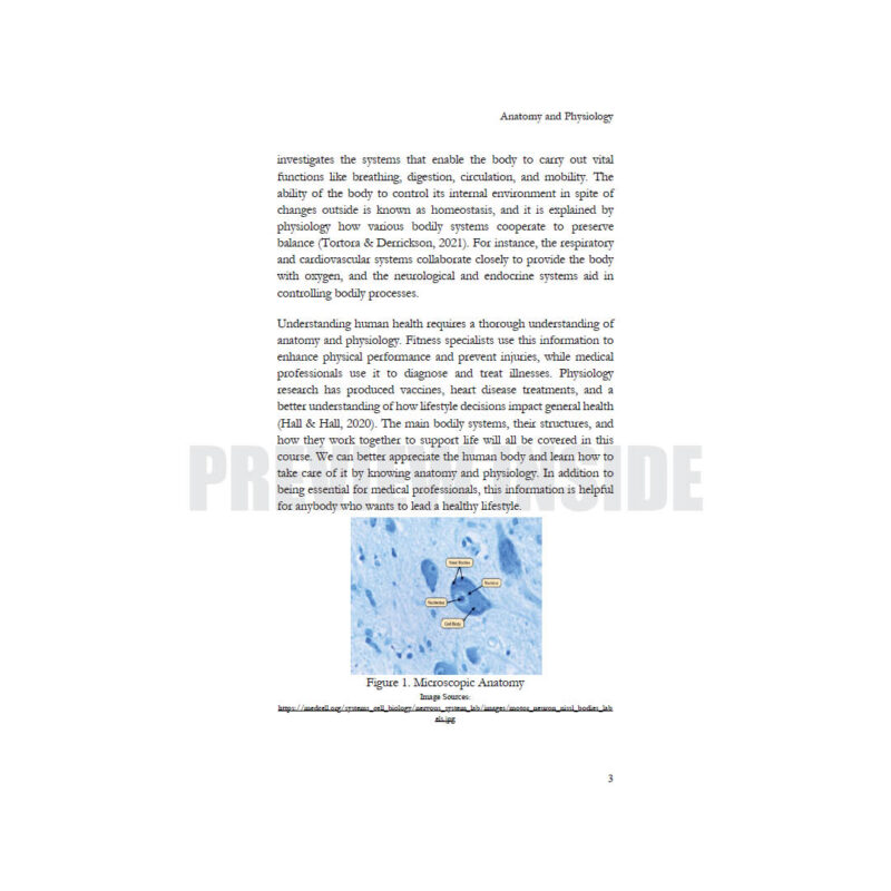 Anatomy and Physiology - Image 7