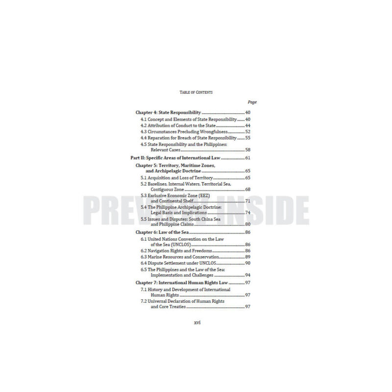 Global Rules, Local Realities: International Law in the Philippines - Image 3