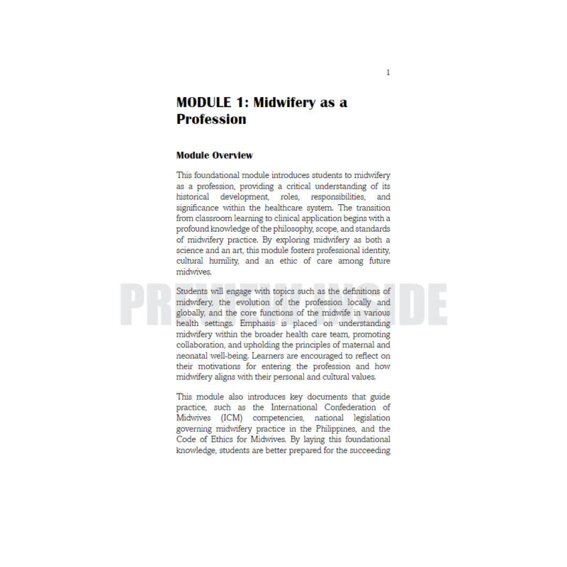 An Introduction to Healthcare and Midwifery Practice - Image 5