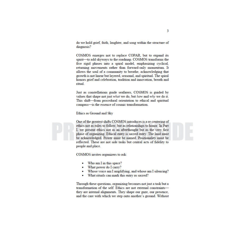 From C.O.P.A.R to C.O.S.M.O.S. (Caring-Based Organizing Systems for Multidimensional Solidarity) - Image 7