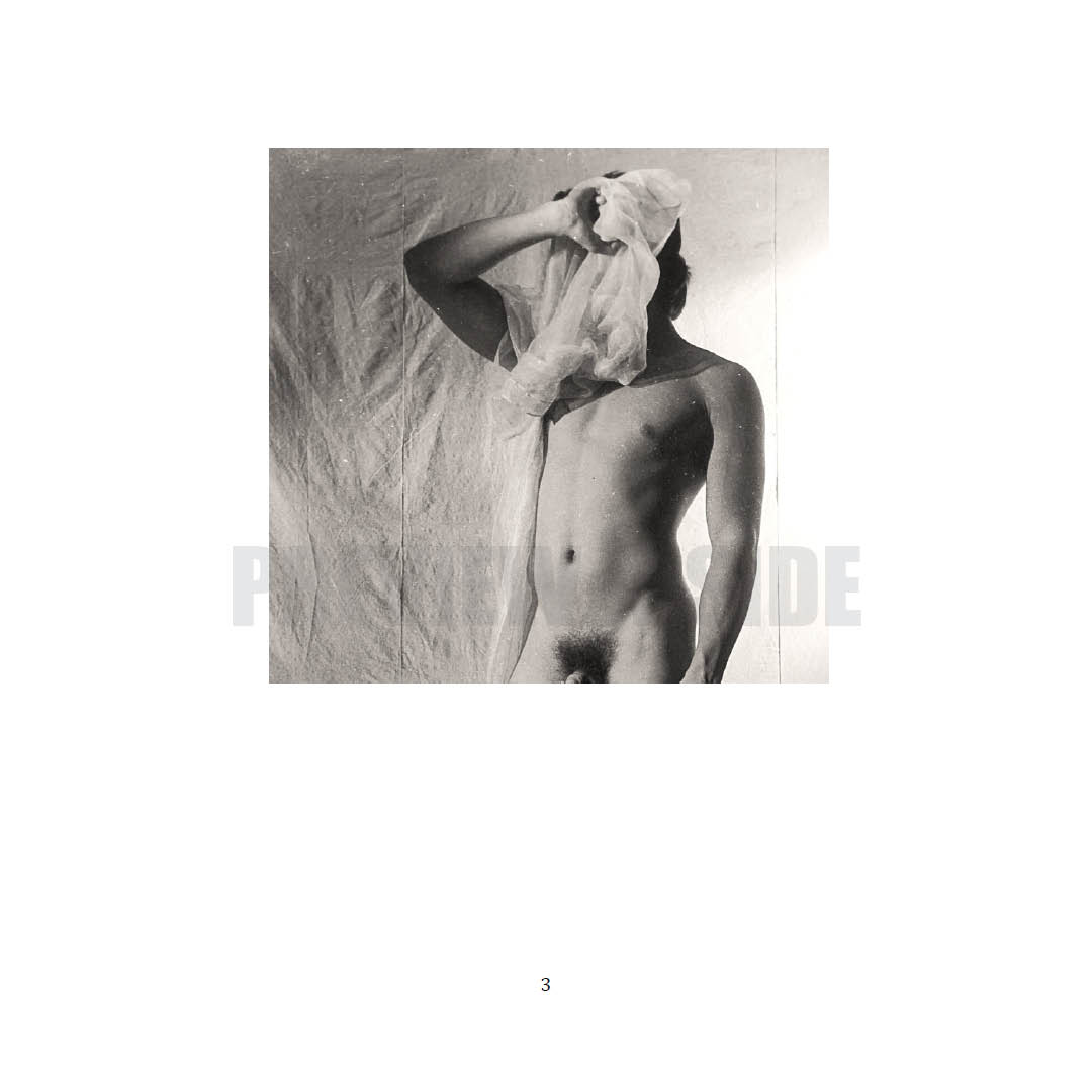 Shards of Desire (A Collection of Queer Poems and Photography) Volume III - Image 7