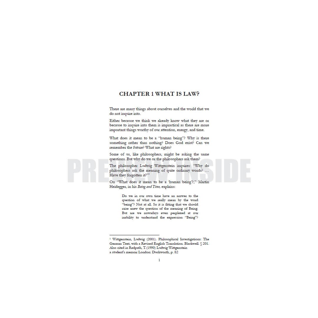 Legal Theories Explained - Image 7